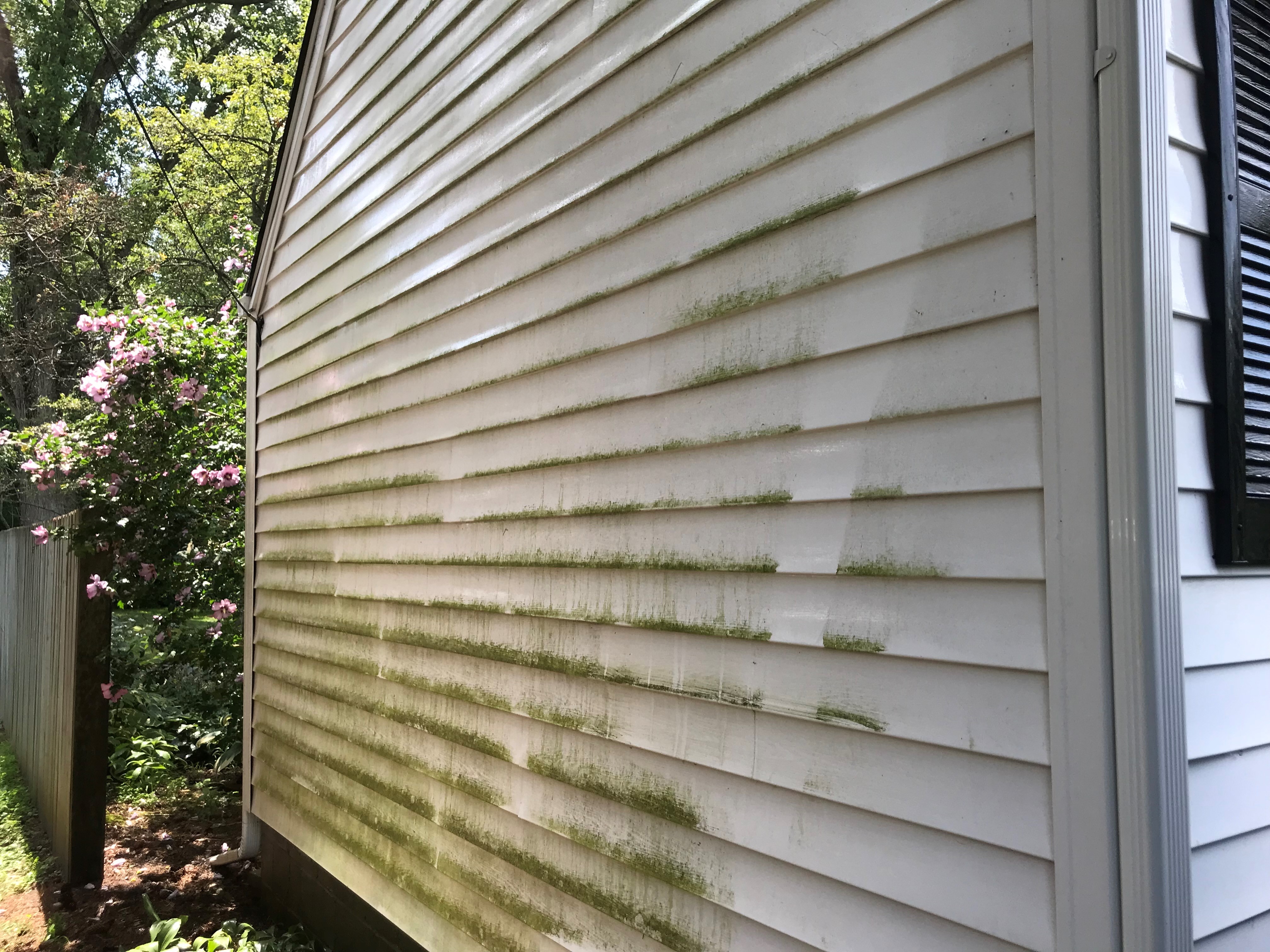 House exterior cleaning example